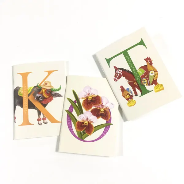 Alpabeto Notebooks (Set of 3)